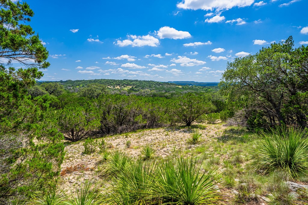 106 Mesquite Trl