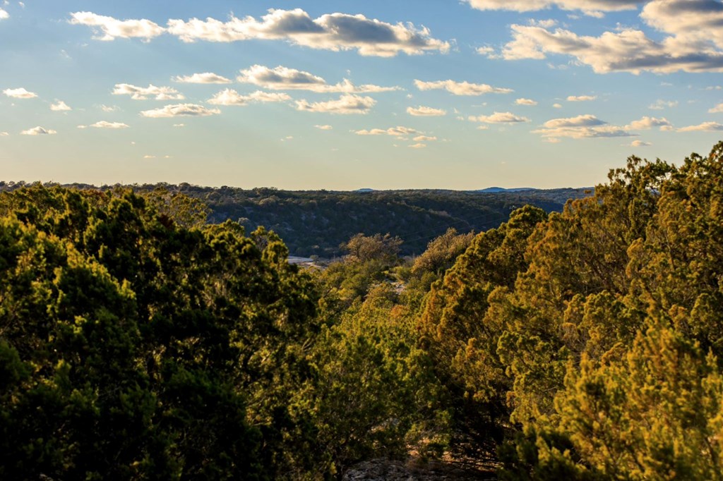 Lot 91 Spring Crossing