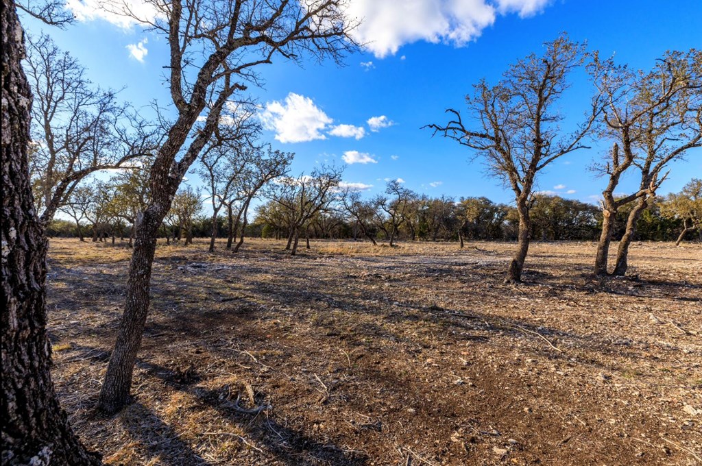 Lot 91 Spring Crossing