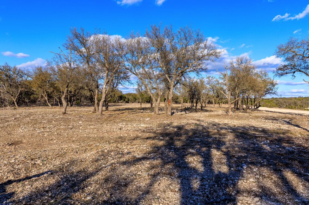 Lot 91 Spring Crossing