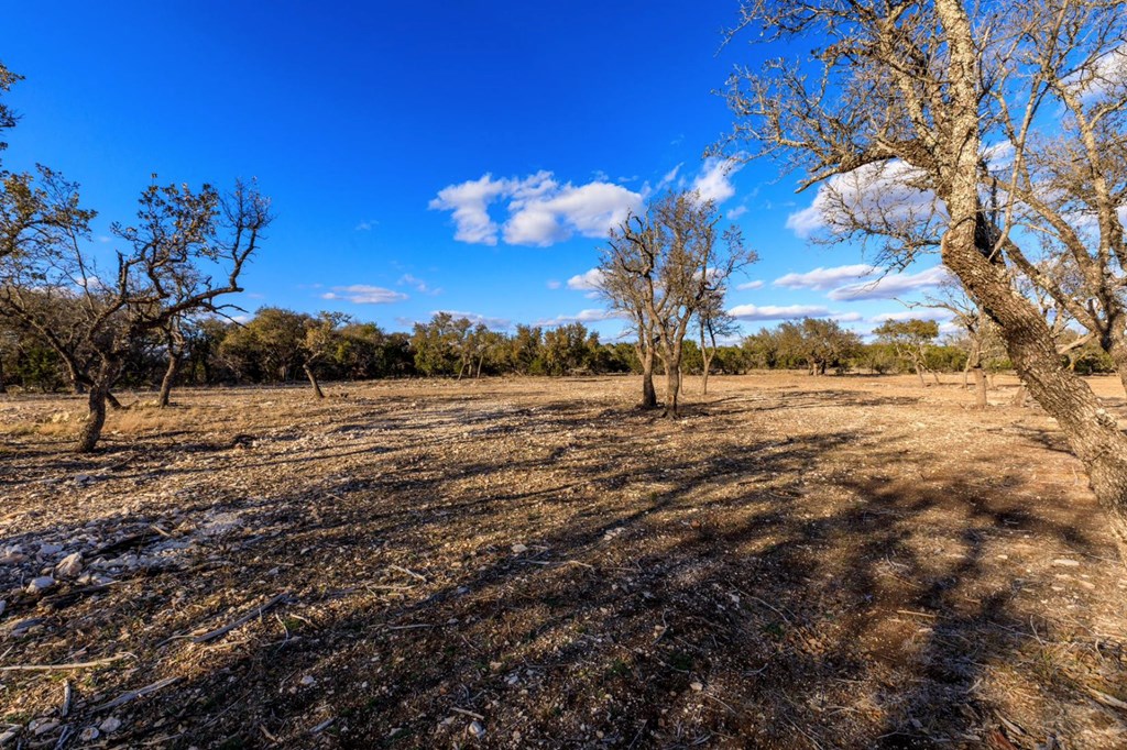 Lot 91 Spring Crossing