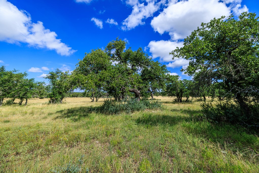Lot 94 Stock Pond Dr