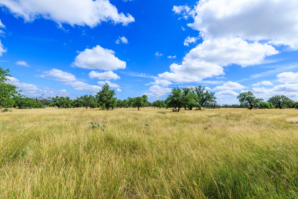 Lot 94 Stock Pond Dr