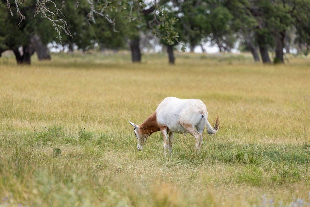 Lot 94 Stock Pond Dr