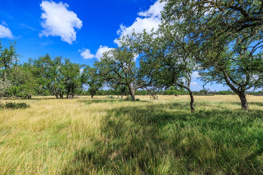 Lot 94 Stock Pond Dr