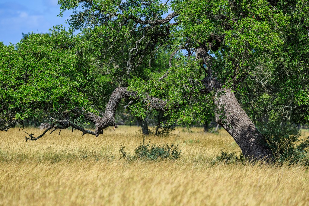 Lot 94 Stock Pond Dr