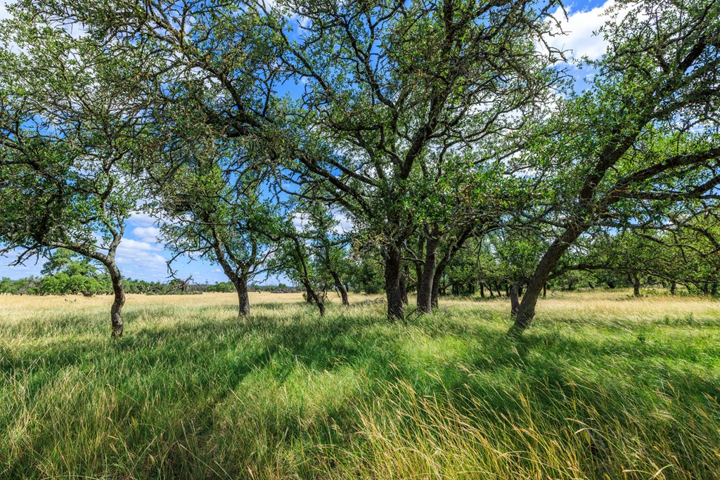 Lot 94 Stock Pond Dr