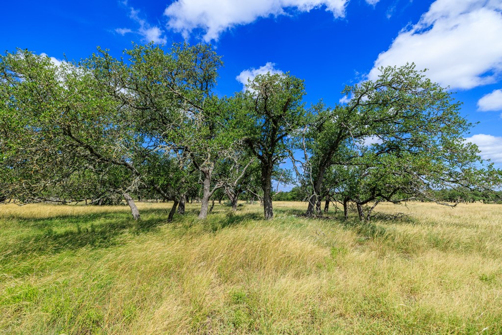 Lot 94 Stock Pond Dr