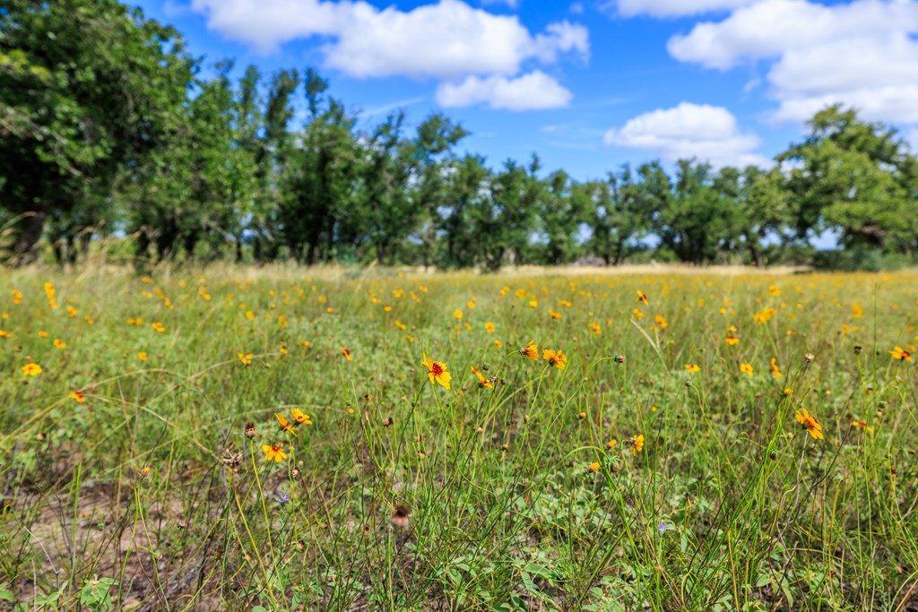 Lot 94 Stock Pond Dr