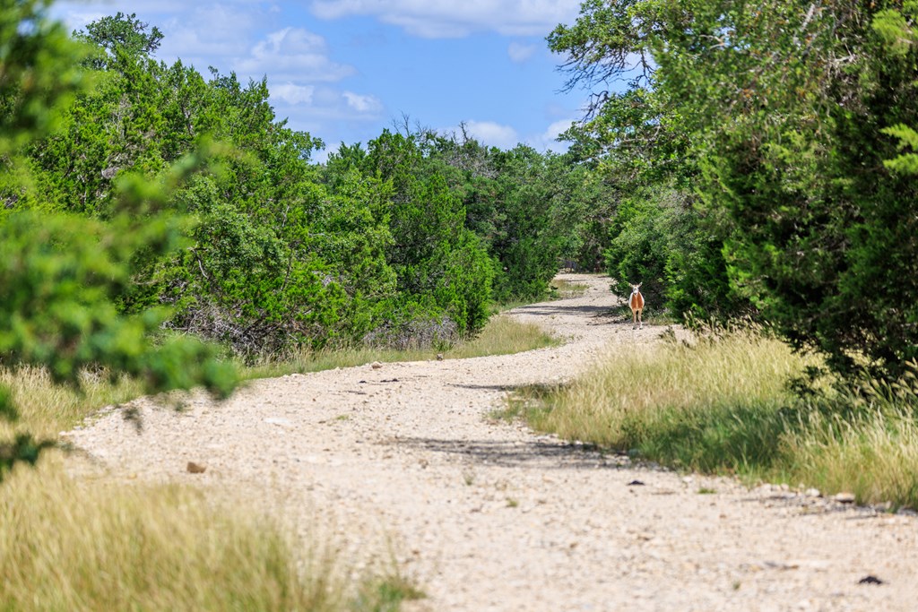 Lot 94 Stock Pond Dr