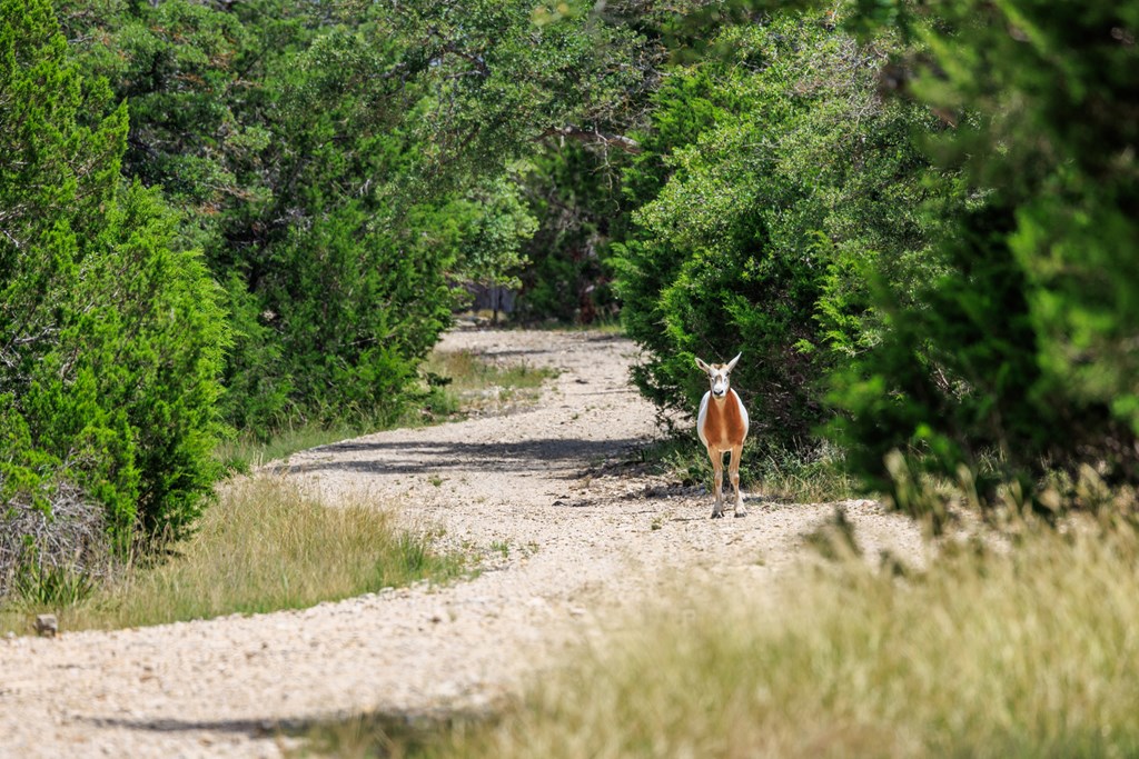 Lot 94 Stock Pond Dr