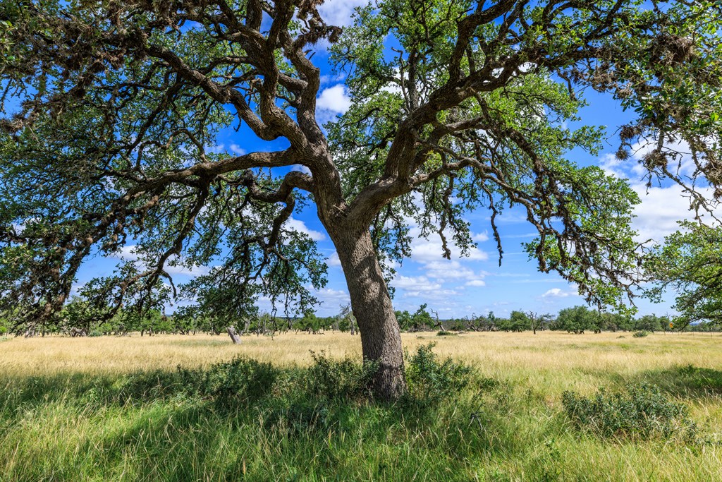 Lot 94 Stock Pond Dr