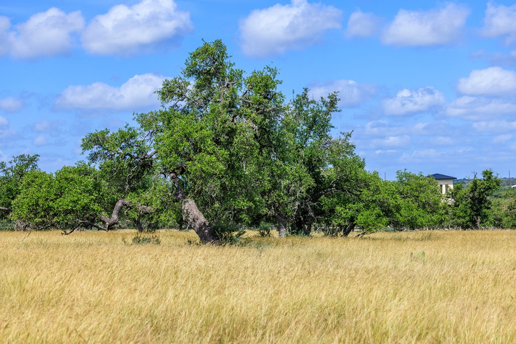 Lot 94 Stock Pond Dr