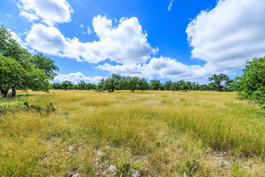 Lot 94 Stock Pond Dr