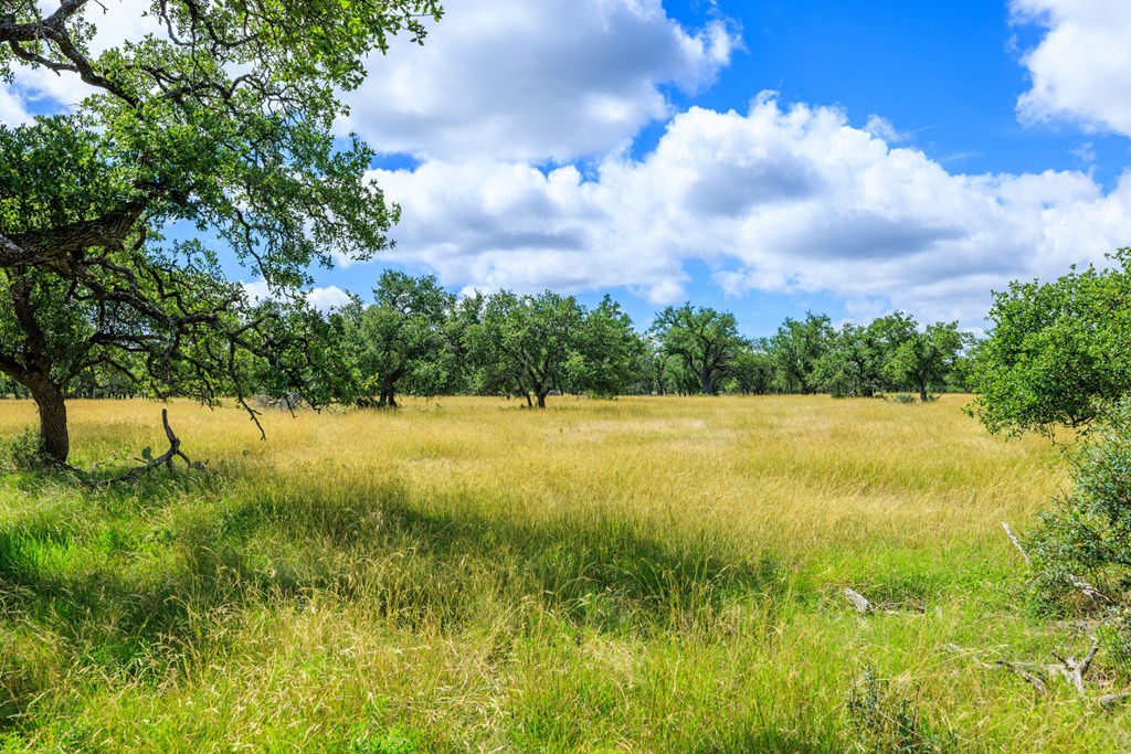 Lot 94 Stock Pond Dr