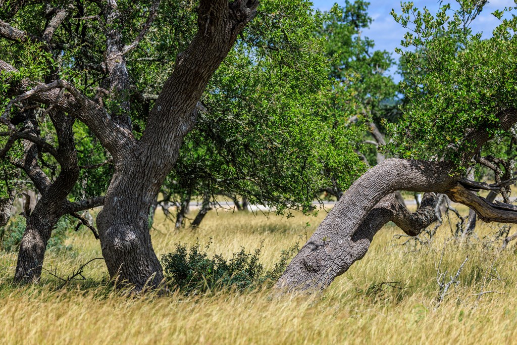 Lot 94 Stock Pond Dr