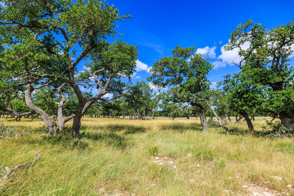 Lot 94 Stock Pond Dr