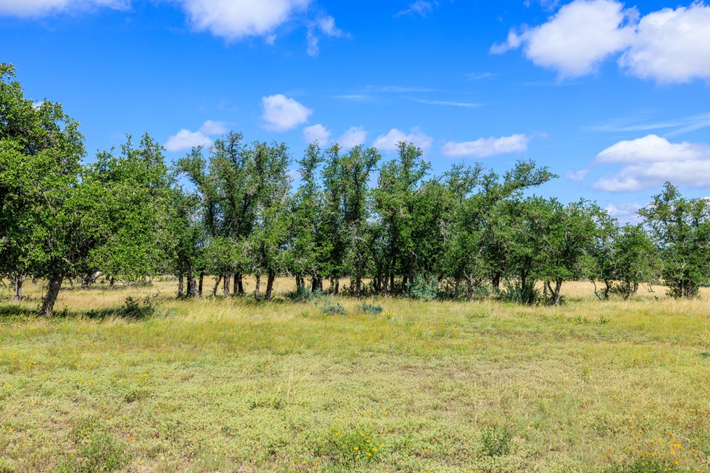 Lot 94 Stock Pond Dr