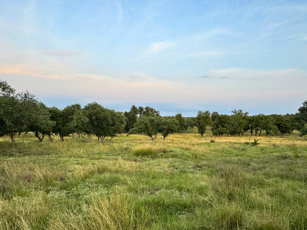 Lot 639 Beretta Dr