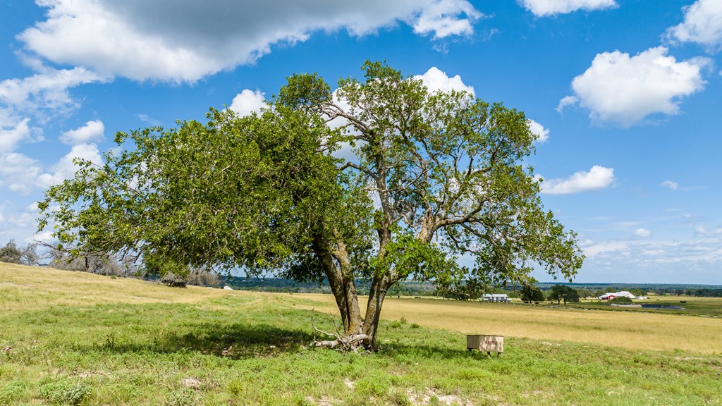 Lot 19 Reeh Rd