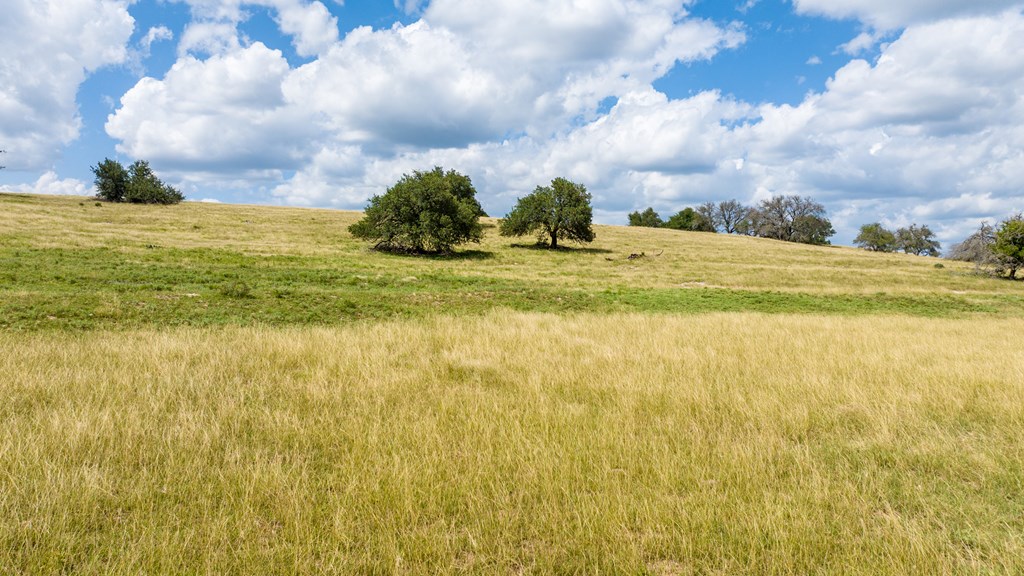 Lot 19 Reeh Rd