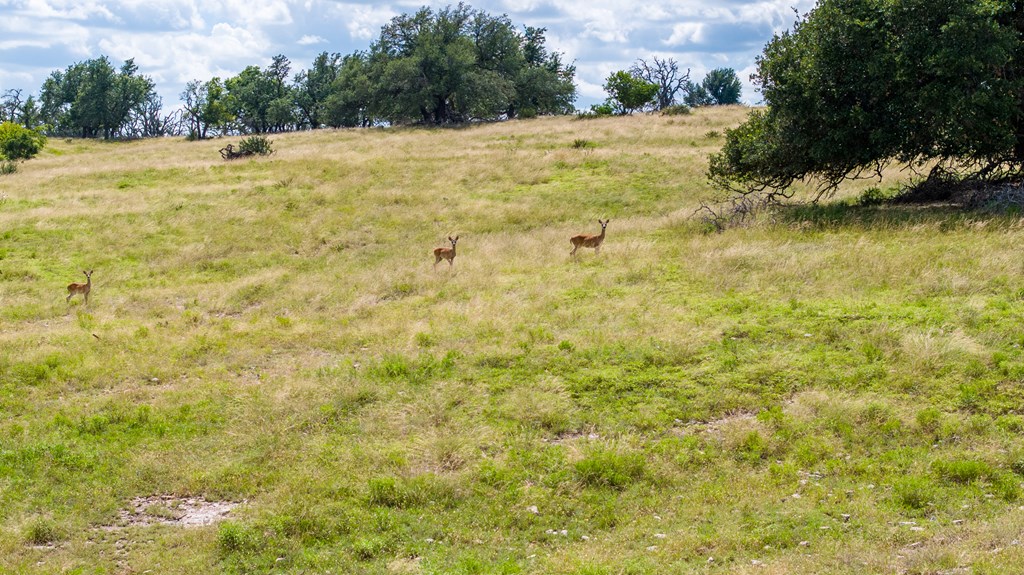 Lot 19 Reeh Rd