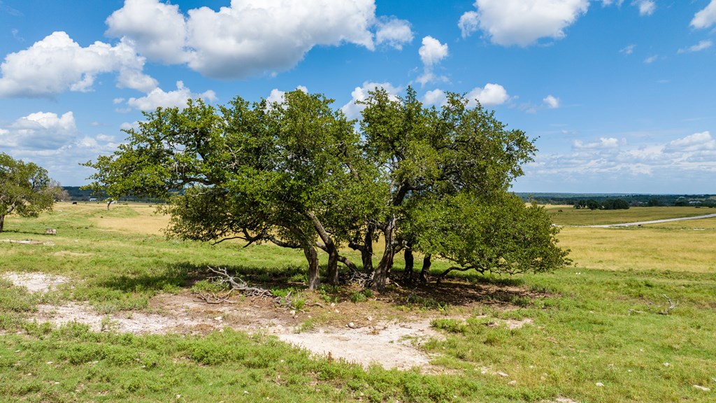 Lot 19 Reeh Rd