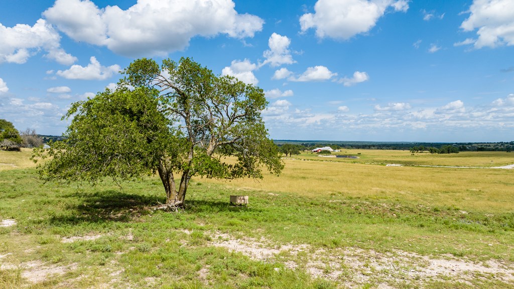 Lot 19 Reeh Rd
