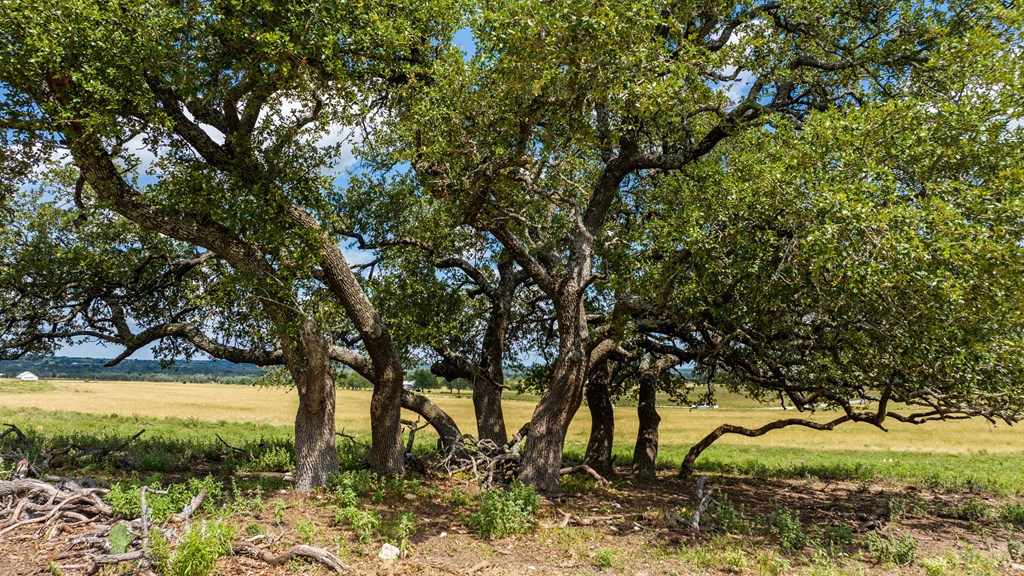 Lot 19 Reeh Rd