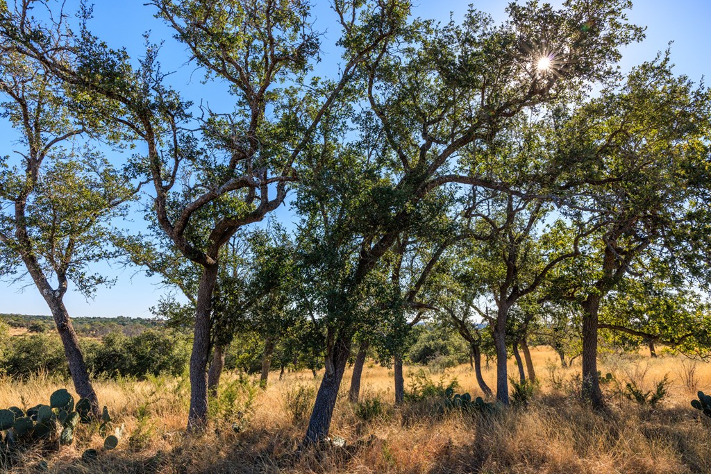 Lot 20 Mayers Ridge Dr