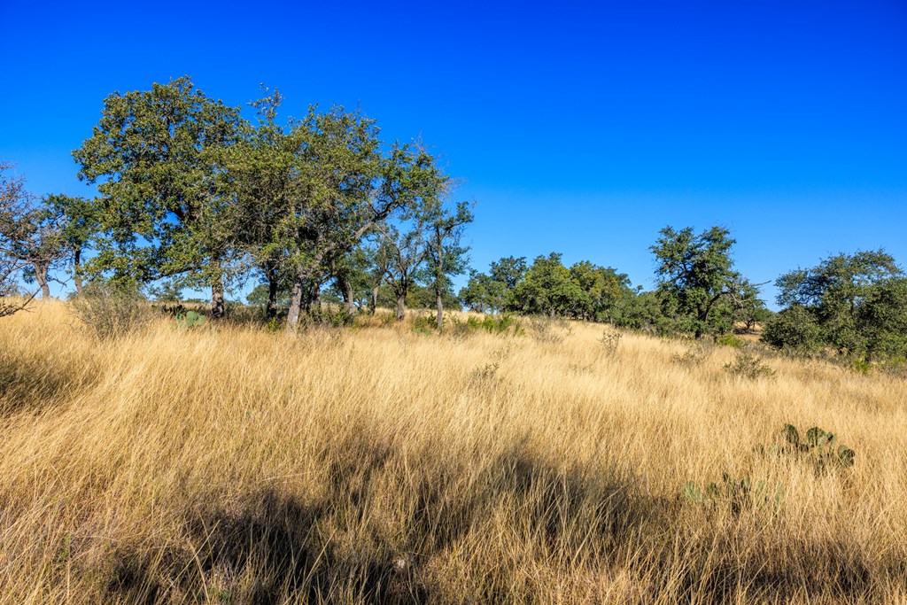 Lot 20 Mayers Ridge Dr