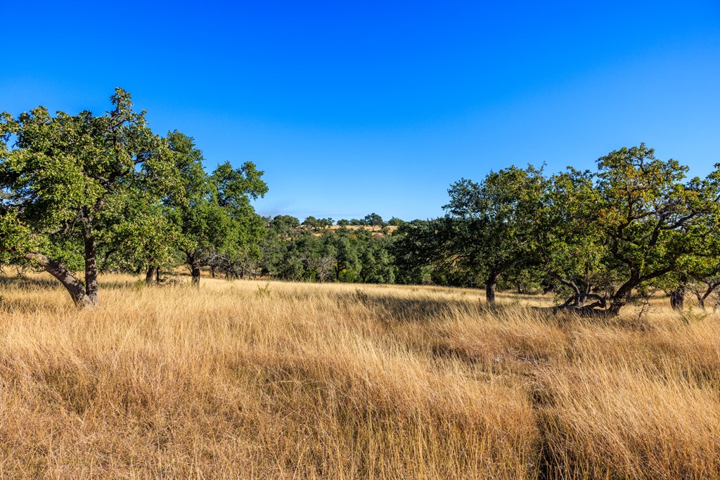 Lot 20 Mayers Ridge Dr