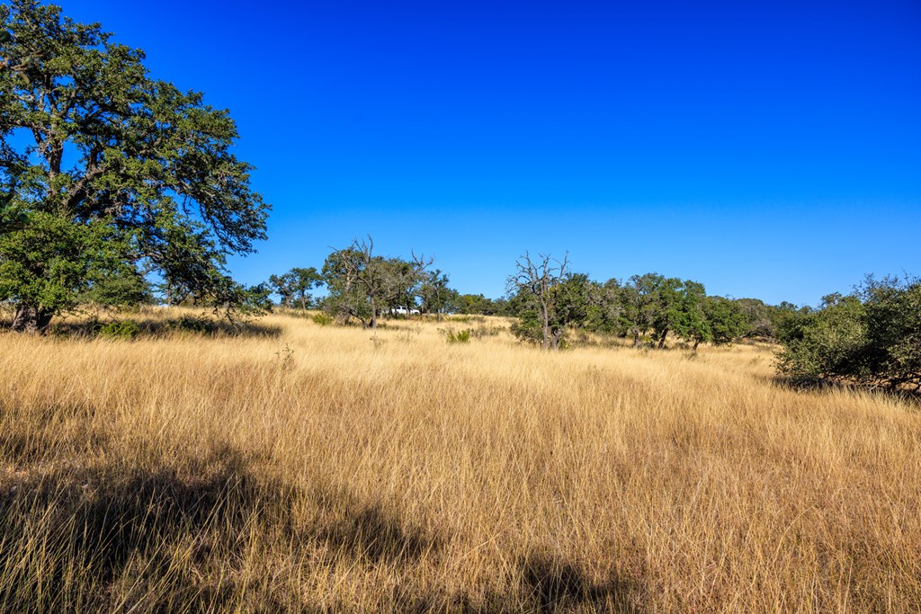 Lot 20 Mayers Ridge Dr