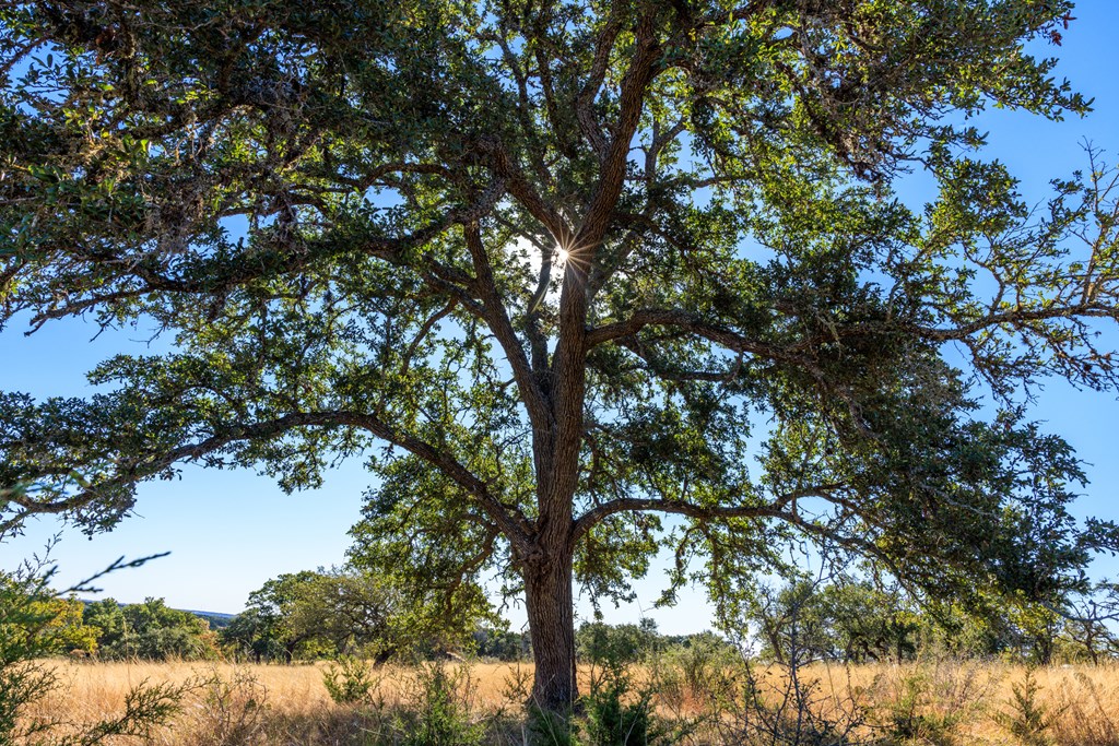 Lot 20 Mayers Ridge Dr