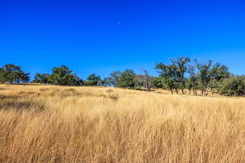 Lot 20 Mayers Ridge Dr