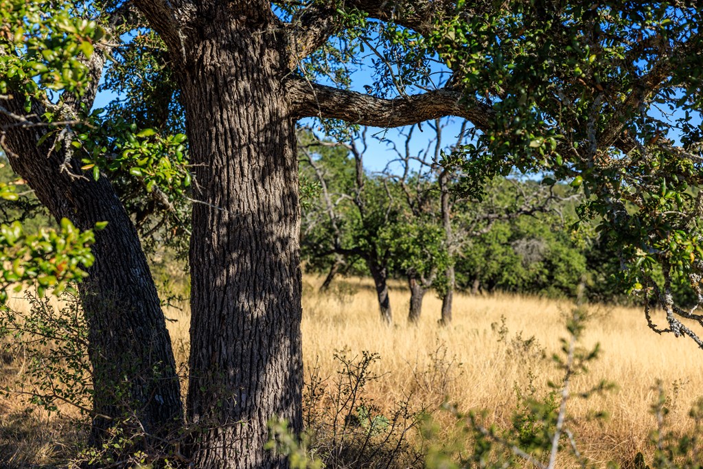 Lot 20 Mayers Ridge Dr