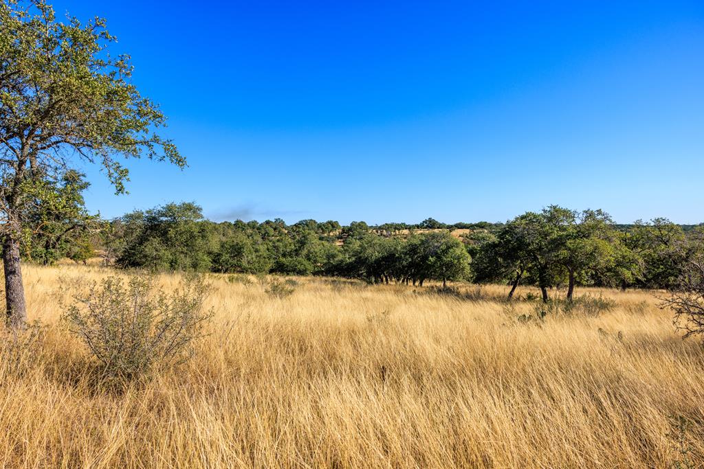 Lot 20 Mayers Ridge Dr