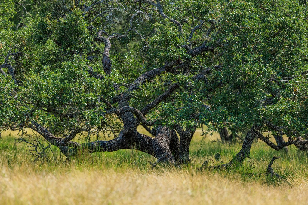 Lot 88 Stock Pond Dr