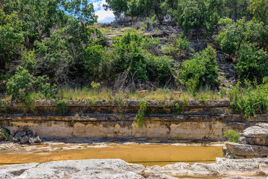 Lot 88 Stock Pond Dr