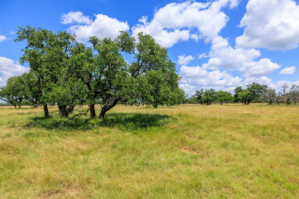 Lot 88 Stock Pond Dr