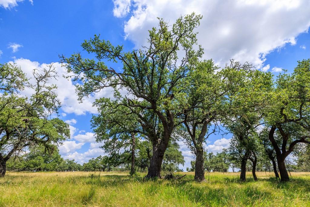 Lot 88 Stock Pond Dr