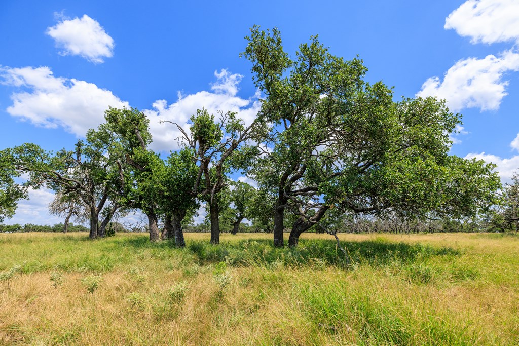 Lot 88 Stock Pond Dr