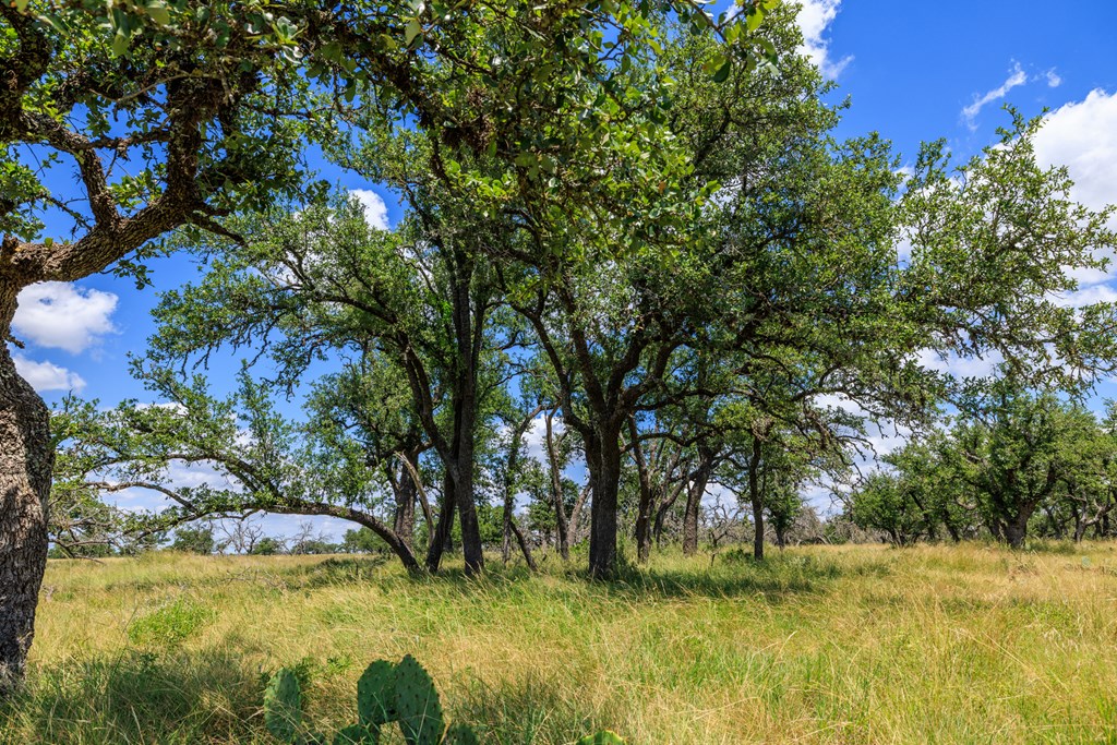 Lot 88 Stock Pond Dr