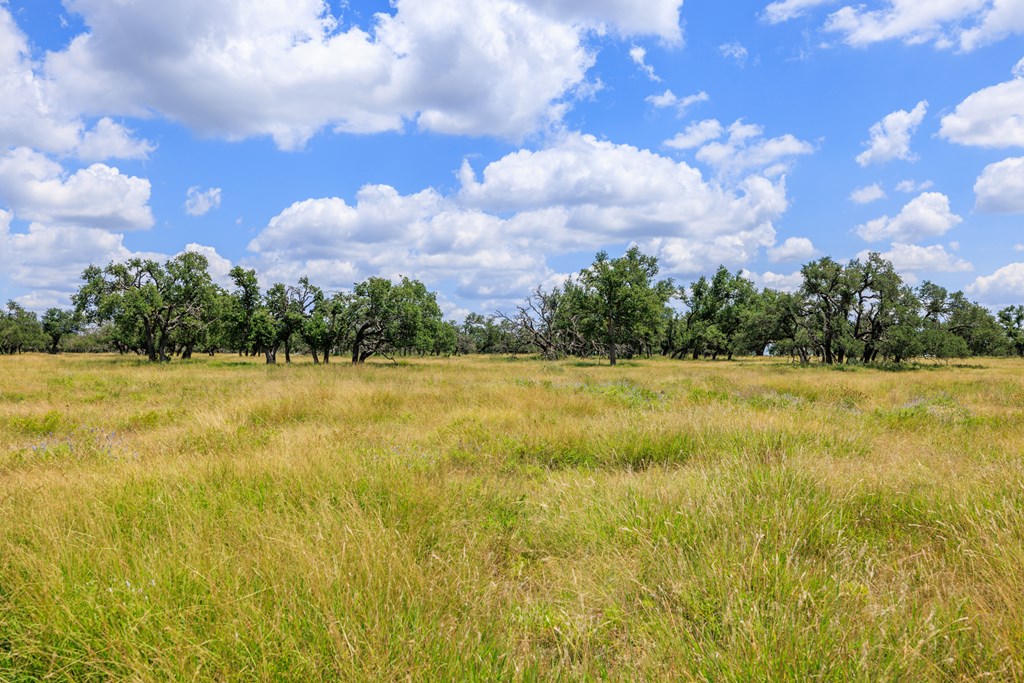 Lot 88 Stock Pond Dr