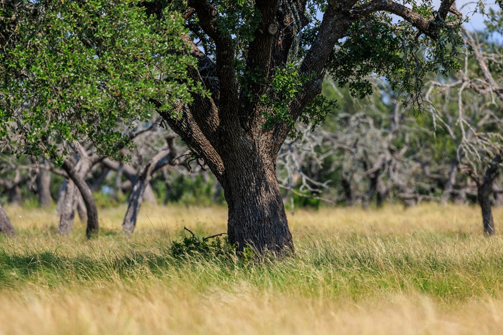 Lot 88 Stock Pond Dr