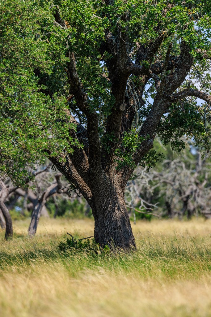 Lot 88 Stock Pond Dr