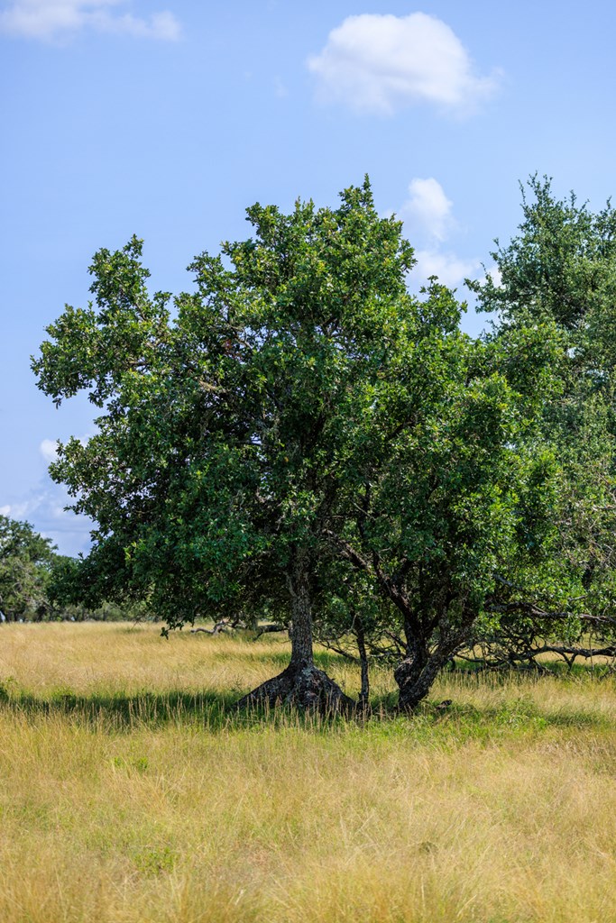 Lot 88 Stock Pond Dr