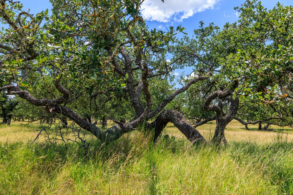 Lot 88 Stock Pond Dr