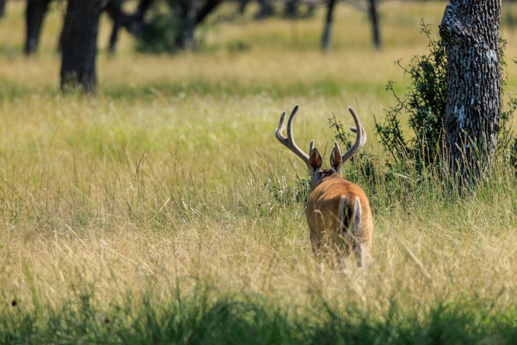 Lot 88 Stock Pond Dr