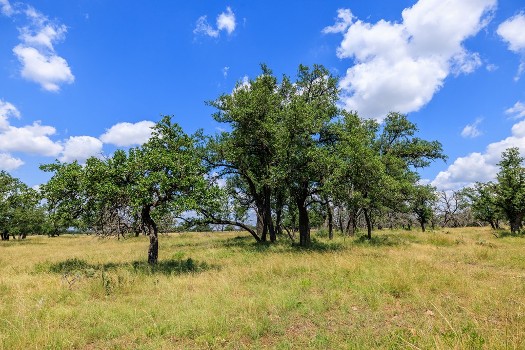 Lot 88 Stock Pond Dr